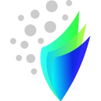 Vishleshan Software Solutions PVT. LTD. Mumbai Logo
