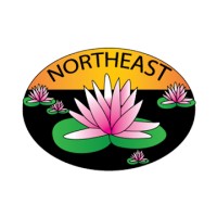Northeast Broking Services Ltd. (Official) Logo