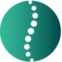 Austin Integrative Spine Logo