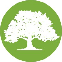 Elmet Aviation Logo