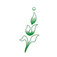 Ivy Herbals Logo