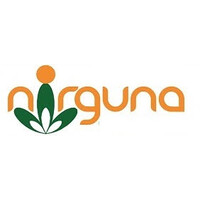 Nirguna Logo