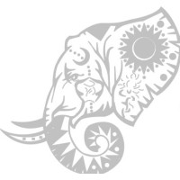 Anvi Exim Logo
