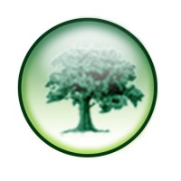 Focom Limited Logo