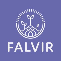 Falvir AB Logo