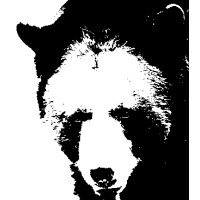 BSI Consulting Logo