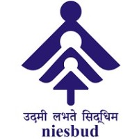 NIESBUD - National Institute for Entrepreneurship and Small Business Development Logo