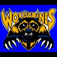 Potomac High School Logo