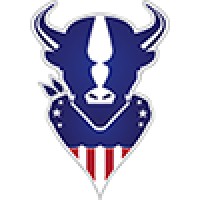 Patriot High School Logo