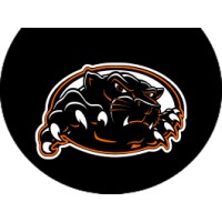 Palmyra High School Logo