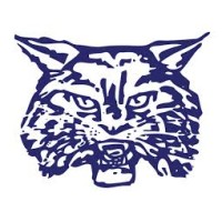 Wilmington High School Logo