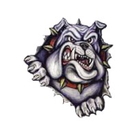 Lovell High School Logo