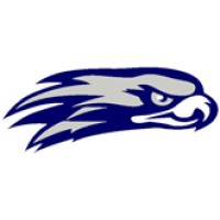 Skyview High School Logo