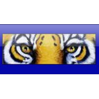 Commerce High School Logo