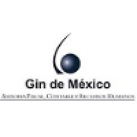 Grupo GIN de Mexico Logo
