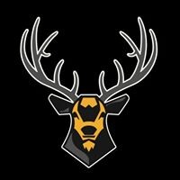 Round Valley High School Logo
