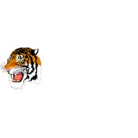 Webster High School Logo