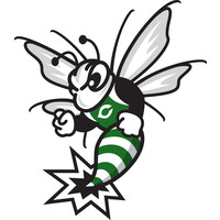 Carter High School Logo
