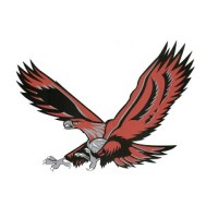 Hudson High School Logo