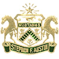 Austin High School Logo