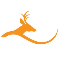 Wildstone Construction Services Logo