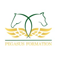 Pégasus Formation Logo
