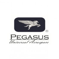 Pegasus Universal Aerospace Logo