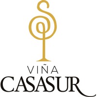 ViñaCasaSur Logo