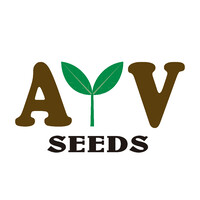 AyV Seeds Logo