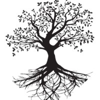 Cole Wellness Logo