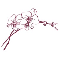 Orchid Group LLC Logo