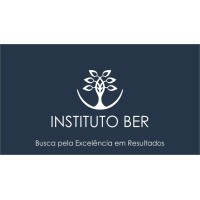 Instituto BER - Busca pela Excelência nos Resultados Logo