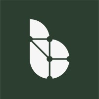 BlockRoots Logo