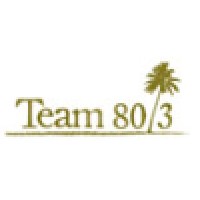 Team 80/3 Logo