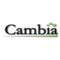 Cambia Management Logo