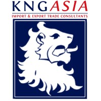 KNG Asia: business development, consulting and trading Logo