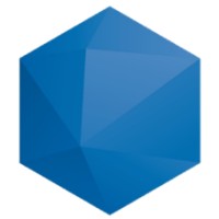 Business Vision Logo