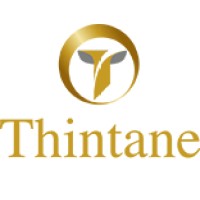 THINTANE INVESTMENTS Logo