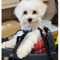 C.T. Consultants Inc. Logo