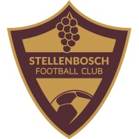 STELLENBOSCH FOOTBALL CLUB Logo