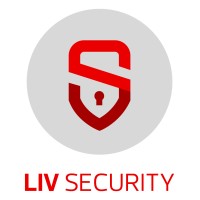 LIMITLESS VIRTUAL SECURITY Logo