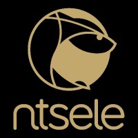 NTSELE GLOBAL (PTY) LTD. Logo