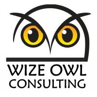 Wize Owl Consulting (Pty) Ltd Logo