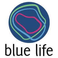 blue life consulting GmbH Logo