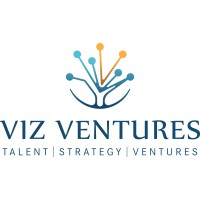 VIZ VENTURES Logo