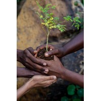 Harvesting For Good East Africa Logo