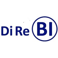 Dire BI srl Logo