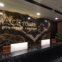 ACE Group Logo
