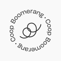 Boomerang Food Logo