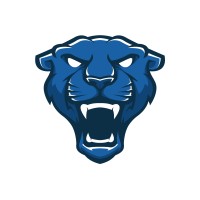 Wildcard - w6d Logo